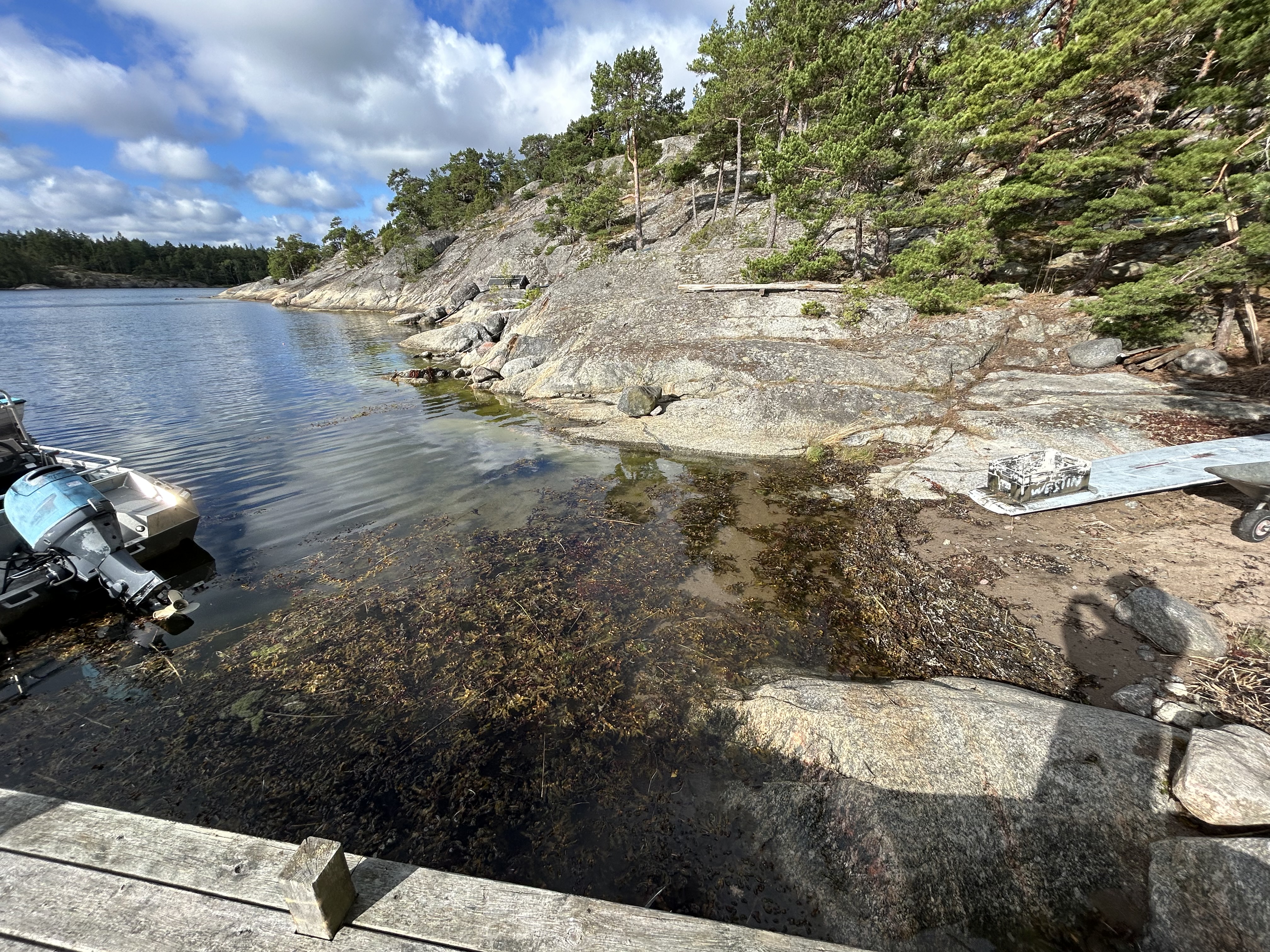 Farfar och boken